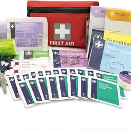 LEWIS-PLAST Erste-Hilfe-Kit, 92 Stück, inklusive Tasche, nach europäischer Norm, ideal für Camping, Schule und mehr