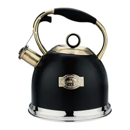Flötenkessel 3L Edelstahl mit Hitzebeständigem Griff für Induktionsherde