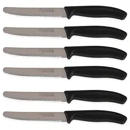 Quttin Set mit 6 Basic Tischmessern, 11 cm