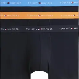 Tommy Hilfiger Trunk
