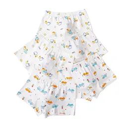 CM-Kid Boxershorts für Jungen 5er Pack Baumwolle 12-14 Jahre Auto Gr. 152-158