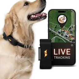 PAJ GPS Tracker für Hunde - 4G - Live-Ortung & Weglaufalarm - Bis zu 10 Tage Akkulaufzeit - Schwarz