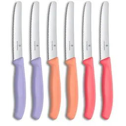Victorinox Swiss Classic Frühstücksmesser Set 6-teilig, 11 cm, Rostfreier Stahl, Violett, Orange und Pink