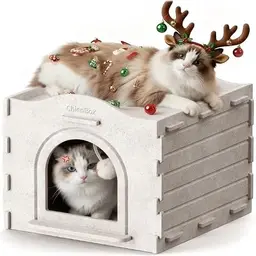 ChienBox Katzenhaus Indoor aus Filz: Abnehmbare Katzenhöhle mit Spielball, warm & kratzfest, einfach zu reinigen, 38×38×33 cm