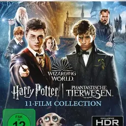 Wizarding World: 11-Film Collection 4K Ultra HD