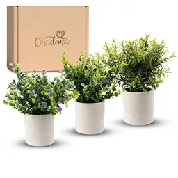 Coradoma 3er Set Künstliche Pflanzen im weißen Topf | Moderne Deko für Wohnzimmer und Küche