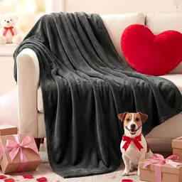 BEDSURE Flauschige Kuscheldecke 150x200cm - Warme, Weiche Sofadecke in Dunkelgrau, Ideal als Geschenk zum Valentinstag