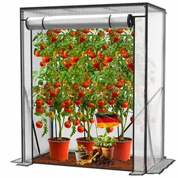 KESSER® Tomatengewächshaus 100 x 50 x 150 cm, inkl. Montagezubehör, ideal für Gemüse, Blumen, Obst