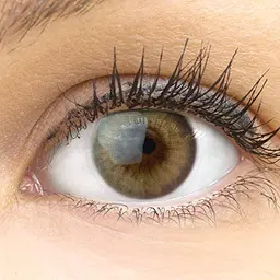 Natürliche beige Kontaktlinsen "Padua Beige" von GLAMLENS - 1 Paar (2 Stück) - ohne Stärke