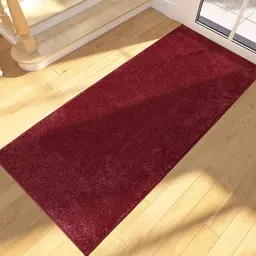 FCSDETAIL Schmutzfangmatte 60 x 150 cm, rutschfest, waschbar, absorbierend für Haustür, Flur und Küche