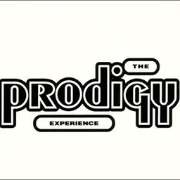 Experience [Vinyl LP]
