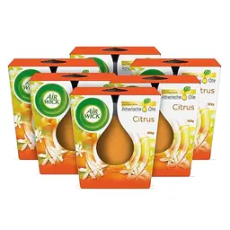 Air Wick Duftkerze im Glas – Citrusduft – 6 x 105 g Set