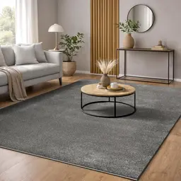marley eleganter Designer-Teppich im Wohnzimmer, weicher Kurzflor, 80 x 150 cm, anthrazit