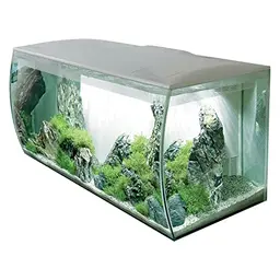 Fluval Flex Aquarium 123L, Süßwasser, Weiß