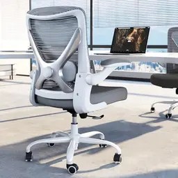TRALT Ergonomischer Bürostuhl - Bequemer Gaming-Stuhl mit Lendenwirbelstütze, Graues Silber