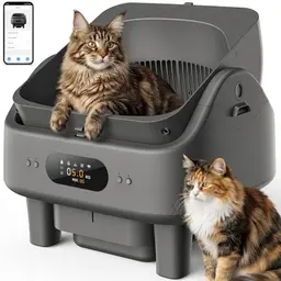 Automatische, selbstreinigende Katzentoilette mit App-Steuerung, Geruchskontrolle & offenem Design für mehrere Katzen
