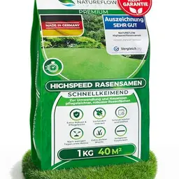 Schnellkeimende Rasensamen für Frühjahr – 1kg für 40qm, ideal zur Nachsaat