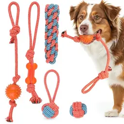 RUXAN Hundespielzeug Set aus Baumwolle für kleine und mittelgroße Hunde - 6-teilig