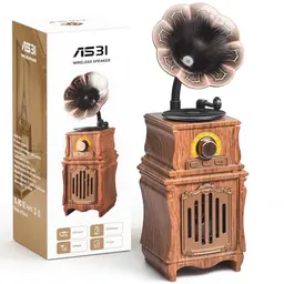 COLSUR Retro Bluetooth Lautsprecher - Tragbarer Vintage Lautsprecher mit FM Radio und TF-Karte/AUX/USB Unterstützung
