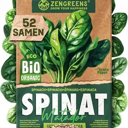 ZenGreens® Bio Spinat Samen - Einfacher Anbau für Garten, Balkon oder Hochbeet - Matador