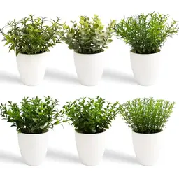 YVONNEYI 6 Stück Eukalyptus Kunstpflanze 16cm - Mini Deko für Wohnzimmer, Schlafzimmer, Badezimmer und Küche