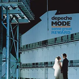 Some Great Reward (Vinyl LP)