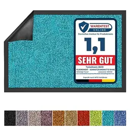 Floordirekt Schmutzfangmatte Rhine - Waschbare Fußmatte für den Eingangsbereich (Türkis, 120 cm x 600 cm)