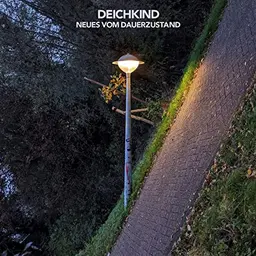 Neues Vom Dauerzustand (2LP) - Vinyl