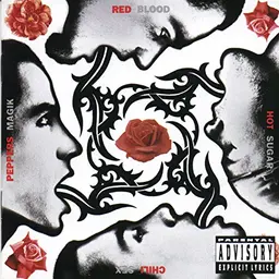Blood, Sugar, Sex, Magik [Vinyl LP]