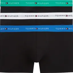 Trunk