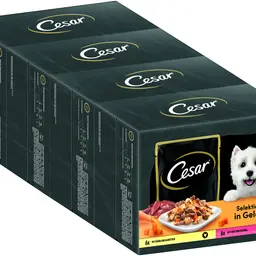 CESAR Adult Hundefutter nass - 4x12x100g Beutel mit Huhn & Rind, in Gelee – Ausgewogenes Premium Nassfutter für Hunde