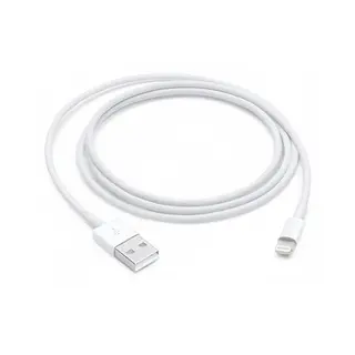 Apple Lightning auf USB Kabel (1 m)