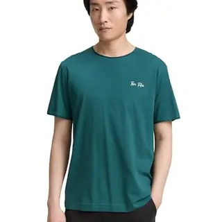 TOM TAILOR Herren T-Shirt