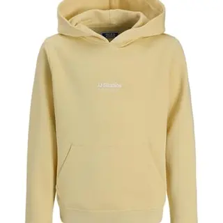 JACK & JONES Jjesoho Sweat Hood Noos Mni