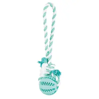 TRIXIE Denta Fun Ball am Tau – Hundespielzeug mit Minzgeschmack, ø 7/24 cm, Zahnpflege-Zubehör