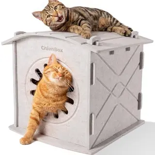 ChienBox Katzenhöhle aus Filz, gemütliches Katzenhaus mit Kratzbogen, abnehmbar, 38 x 36 x 38 cm