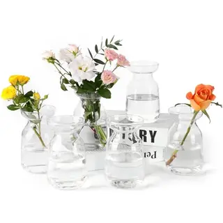 QLoztyse Glasknospenvasen, 6er-Set – Klare Mini-Glasvasen für Blumen & Dekoration