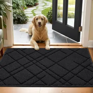 Biscpro Schmutzfangmatte Innen, rutschfest, Eingang Fußmatte, 50x80cm, Schwarz