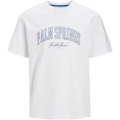 JACK & JONES Jjdetroit Tee SS Crew Neck