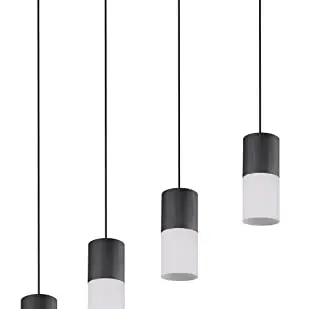 Pendelleuchte Robin, Schwarz Metall, Mattes Weißes Glas, 4x E27