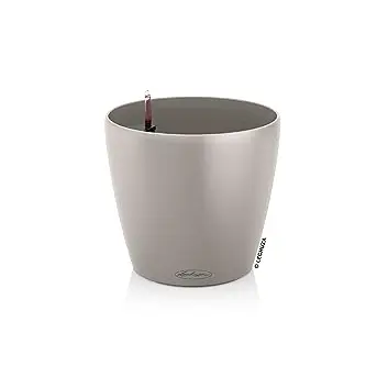 LECHUZA CLASSICO Color 28 in Sandbraun