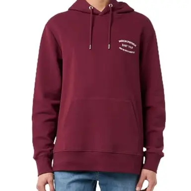 GANT SMALL Graphic Hoodie