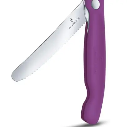Victorinox Swiss Classic Faltbares Picknick-Messer, Extra Scharf, Für Obst, Gemüse, Brötchen und Wurst, Violet