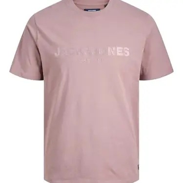 JACK & JONES Jprbluloyal T-Shirt