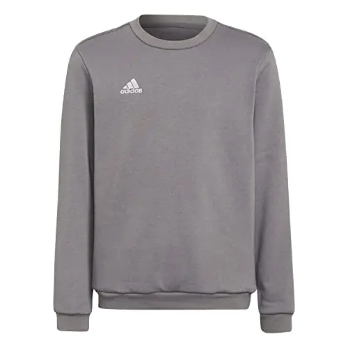 adidas Kinder Entrada 22 Sweat Top, Team Grey, 5-6 Jahre