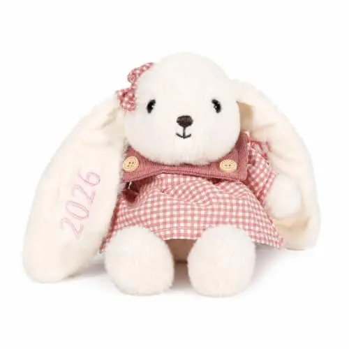Jeweidea personalisiertes Hasen-Kuscheltier mit Namen für Neugeborene Baby, Schnuffeltuch, Schmusetuch, Geschenk für Jungen & Mädchen, Stil 2
