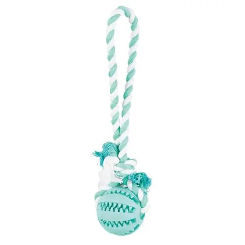 TRIXIE Denta Fun Ball am Tau – Hundespielzeug mit Minzgeschmack, ø 7/24 cm, Zahnpflege-Zubehör