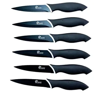 Pradel Excellence CC006N 6er Set Steakmesser aus Edelstahl in Anisfarben