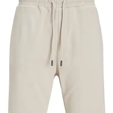 JACK & JONES JPSTBRADLEY Sweat Shorts SN GMS