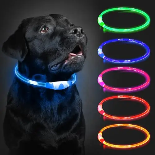 LED Leuchthalsband für Hunde, Aufladbar, Wasserdicht, 3 Lichtmodi, Blau, 70 cm